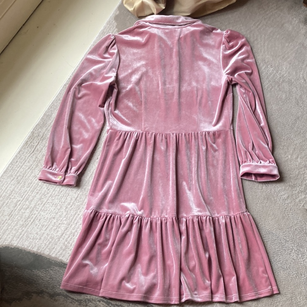 Beautiful Jude Conally rose color, soft velveteen dress - Picture 7 of 16